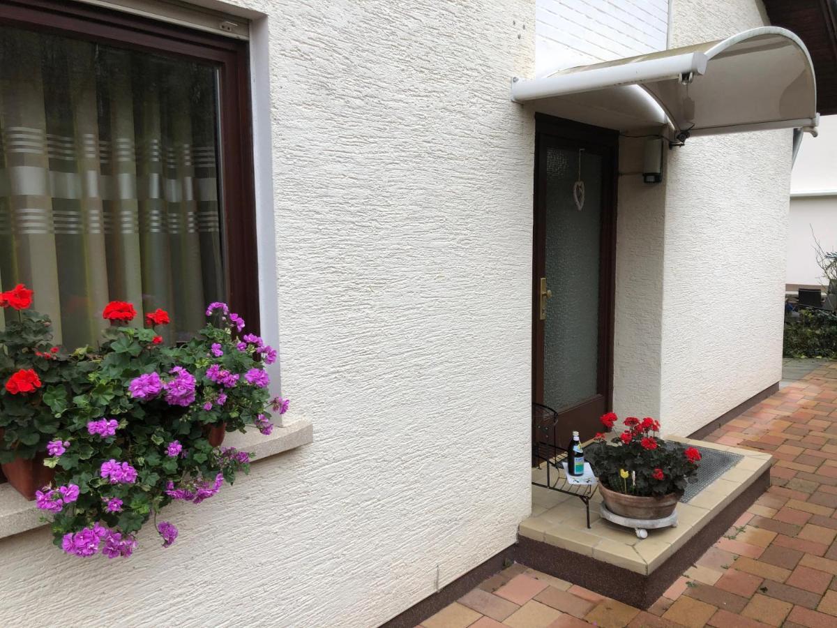 Ferienwohnung Heidelberg Ze-2020-7-Wz Bagian luar foto